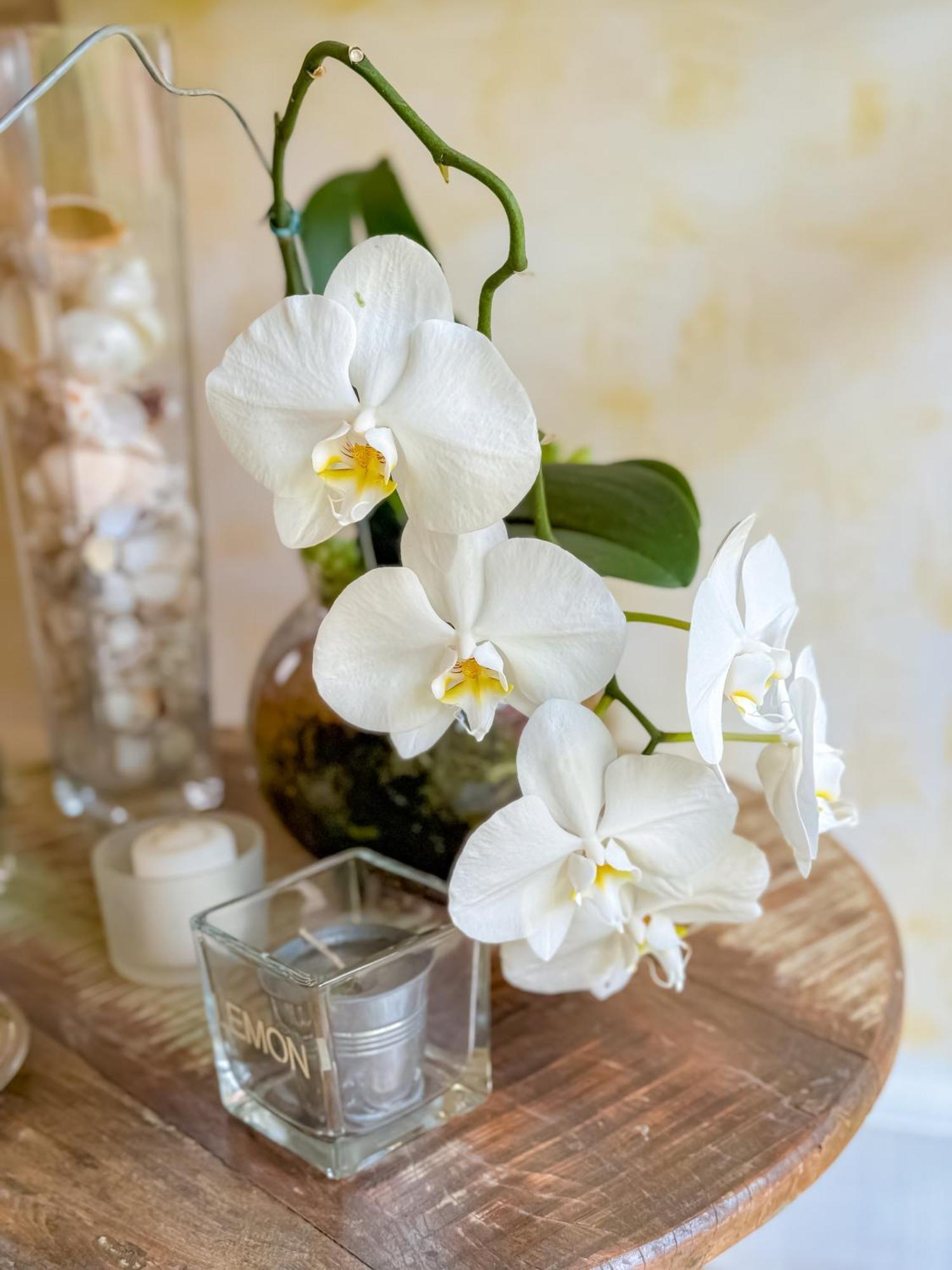Pousada Vila Das Velas Ilhabela Ngoại thất bức ảnh